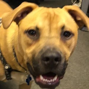 Meet your Posher, Colby